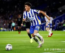 托特纳姆热刺 老板