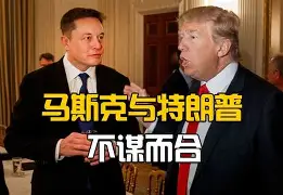 马琳王励勤最经典一球完整视频